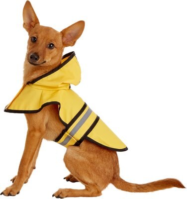 Ethical Pet Fashion Rainy Days Slicker Raincoat, Yellow, slide 1 of 1