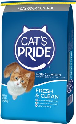 Cat's Pride Premium Fresh & Clean Scented Non-Clumping Clay Cat Litter, slide 1 of 1