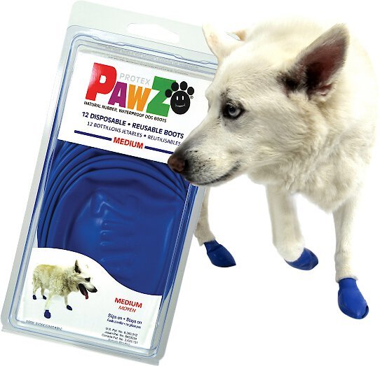Pawz Waterproof Dog Boots, 12 count, Blue, Medium slide 1 of 10