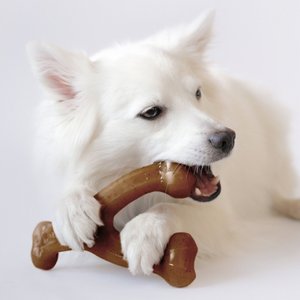 Benebone Wishbone Tough Dog Chew Toy
