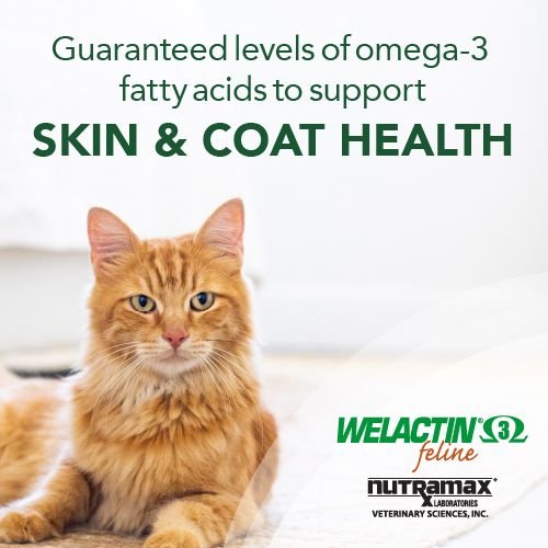NUTRAMAX Welactin Feline Omega3 Cat Liquid Supplement, 4oz bottle