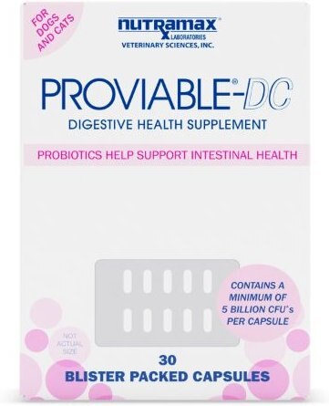 Nutramax Proviable-DC Capsules Digestive Supplement for Cats & Dogs, 30 count slide 1 of 9
