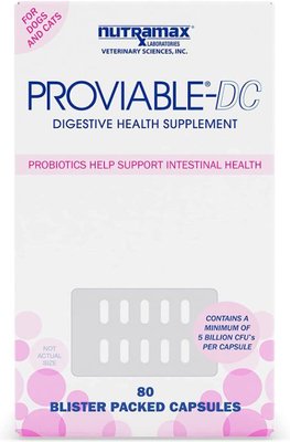 Nutramax Proviable-DC Capsules Digestive Supplement for Cats & Dogs, slide 1 of 1