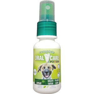 PetzLife Peppermint Oral Care Spray, 1-oz bottle