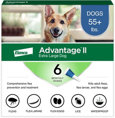 Advantage Ii Flea Spot Treatment For Dogs Over 55 Lbs 6 Doses 6 Mos Supply Chewy Com