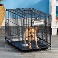 Precision Pet Products Great Crate Double Door Collapsible Wire Dog Crate, 19 inch