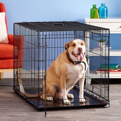 precision dog cage