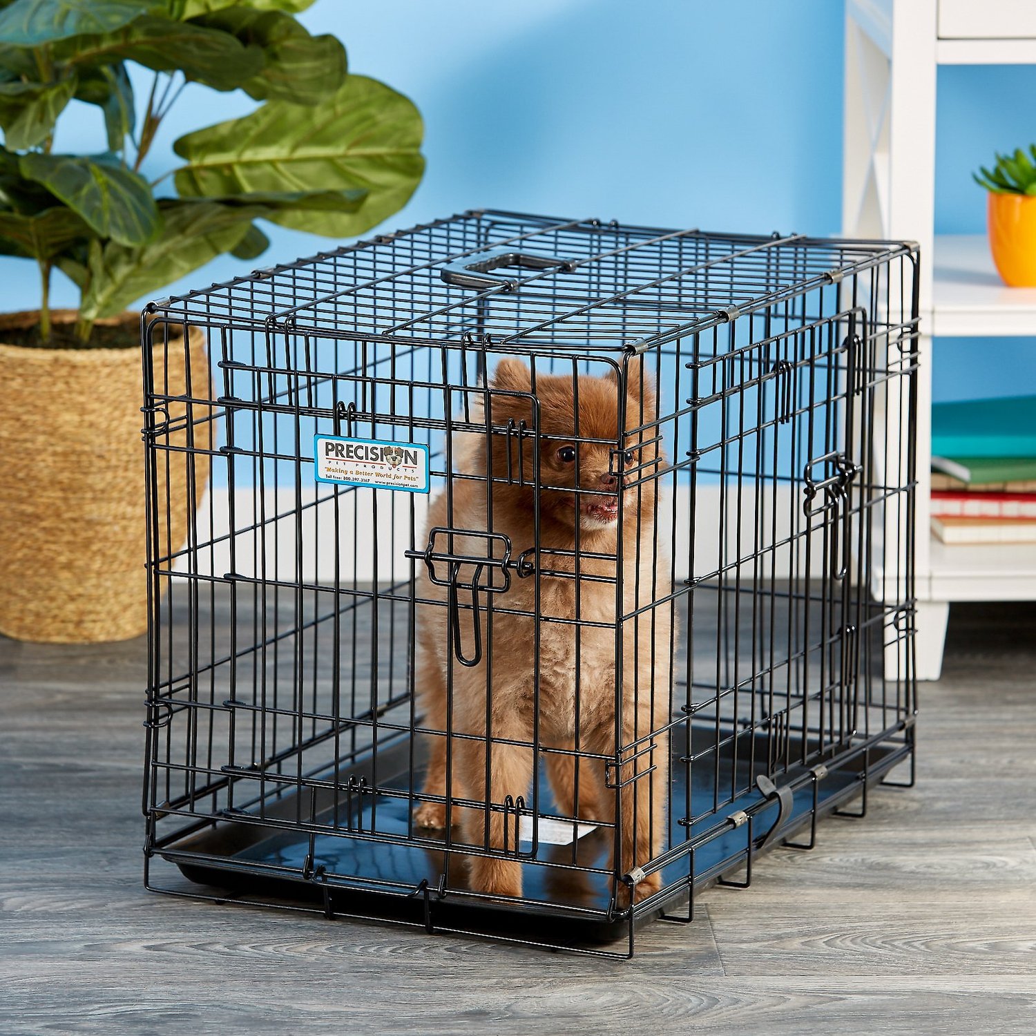 chewy xl dog crate