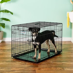 Precision Pet Products Provalu Single Door Collapsible Wire Dog Crate, 36 inch