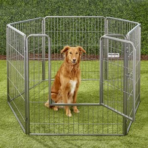Precision Pet Products Courtyard Wire Dog Exercise Pen