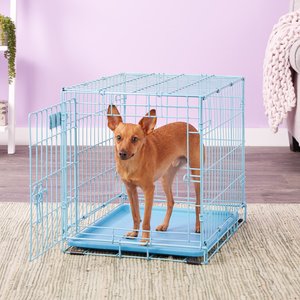MidWest iCrate Single Door Collapsible Wire Dog Crate, Blue, 24 inch
