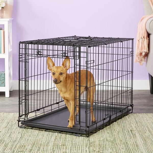 MidWest Ovation Single Door Collapsible Wire Dog Crate, 31 inch slide 1 of 10