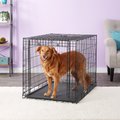 MidWest Ovation Single Door Collapsible Wire Dog Crate, 43 inch