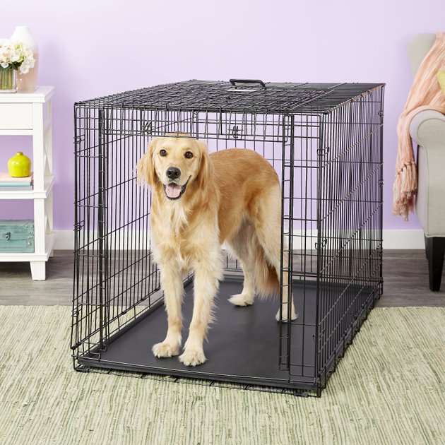 MidWest Ovation Single Door Collapsible Wire Dog Crate