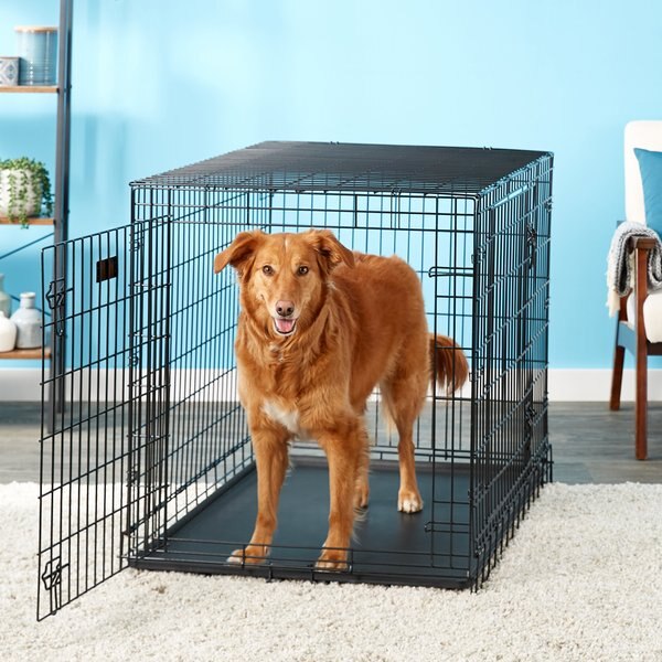 MidWest Ultima Pro Double Door Collapsible Wire Dog Crate, 42 inch slide 1 of 8