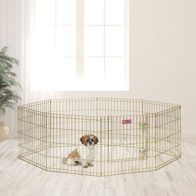 MidWest Wire Dog Exercise Pen with Step-Thru Door, Gold Zinc, slide 1 of 1