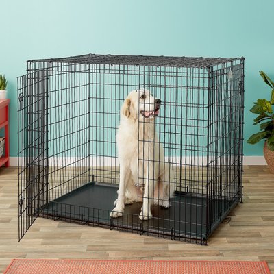 large dog kennel