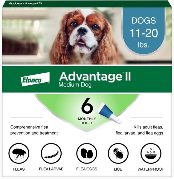 Advantage II Flea Spot Treatment for Dogs, 11-20 lbs, 6 Doses (6-mos. supply) slide 1 of 11