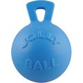 Jolly Pets Tug-n-Toss Dog Toy, Blueberry, 8-in