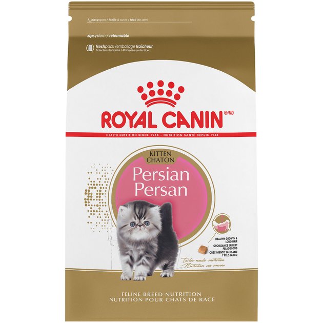 best food for persian kitten
