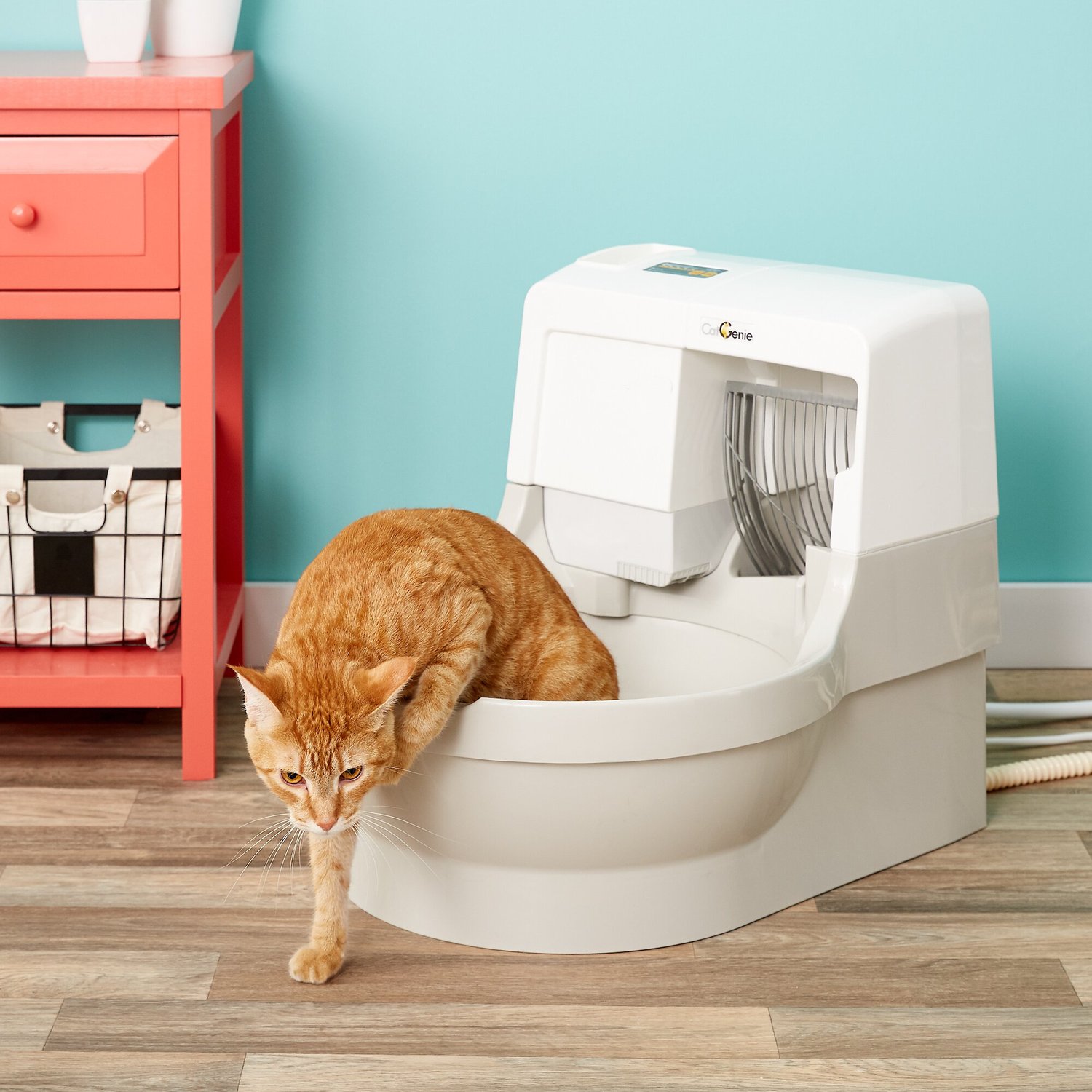 CatGenie Self Flushing Cat Box Chewycom