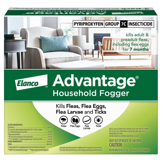 Advantage Household Fogger 3 Pack Chewy Com