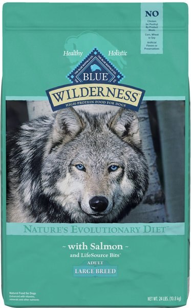 Blue Buffalo Wilderness Large Breed Salmon Recipe Grain-Free Dry Dog Food, 24-lb bag slide 1 of 10