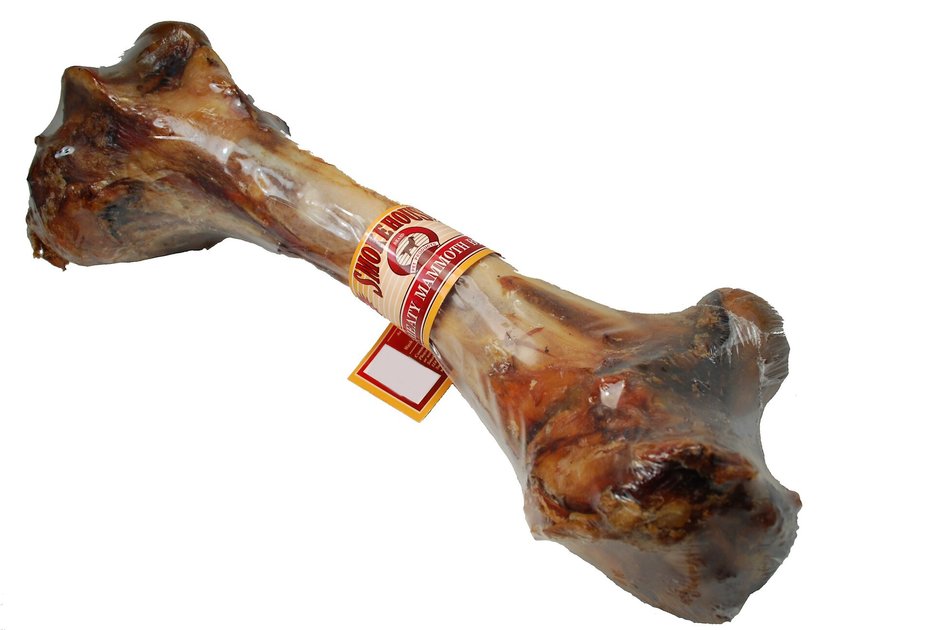 mammoth bone for dogs