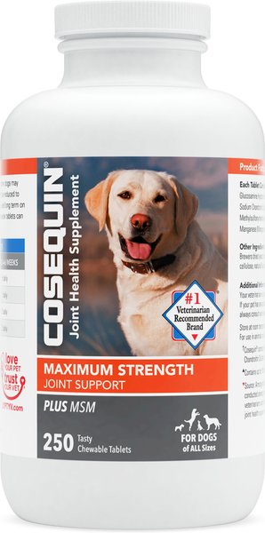 Nutramax Cosequin Maximum Strength Plus MSM Chewable Tablets Joint Supplement for Dogs, 250 count slide 1 of 9