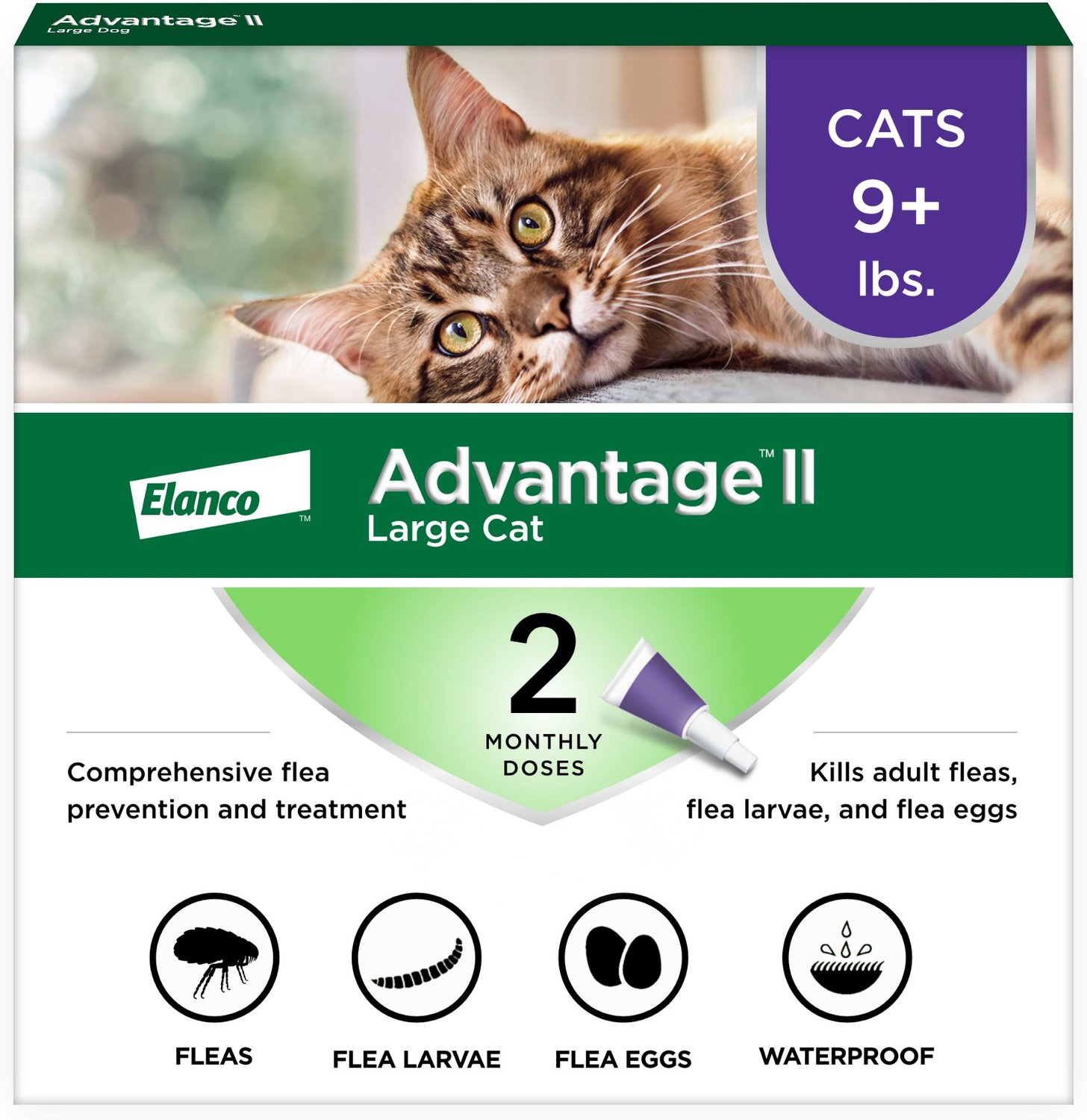 ADVANTAGE II Flea Treatment For Large Cats Over 9 Lbs Free Shipping 