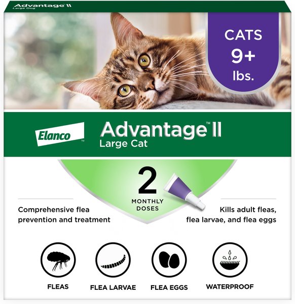 Advantage II Flea Spot Treatment for Cats, over 9 lbs, 2 Doses (2-mos. supply) slide 1 of 12