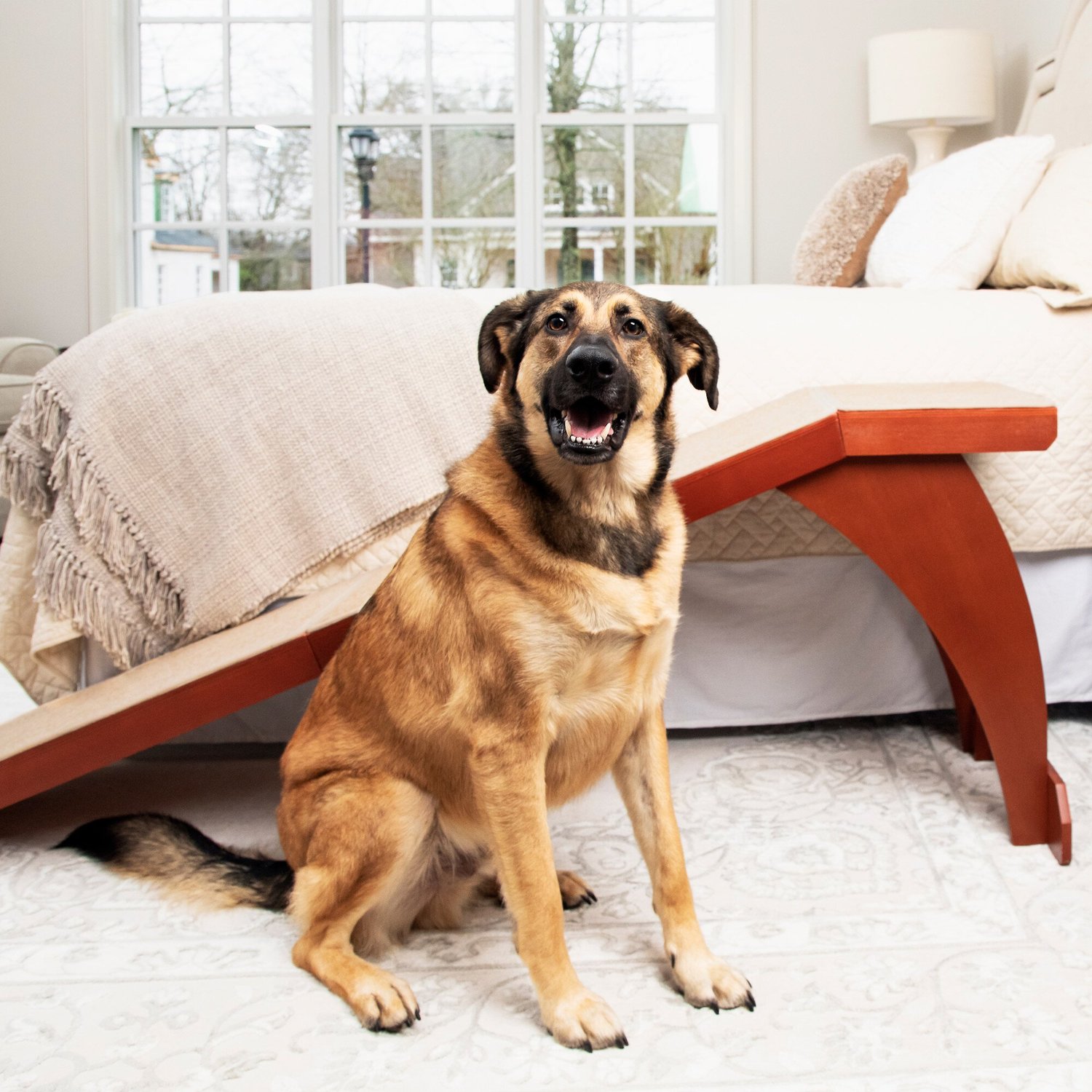 pet ramp for bed