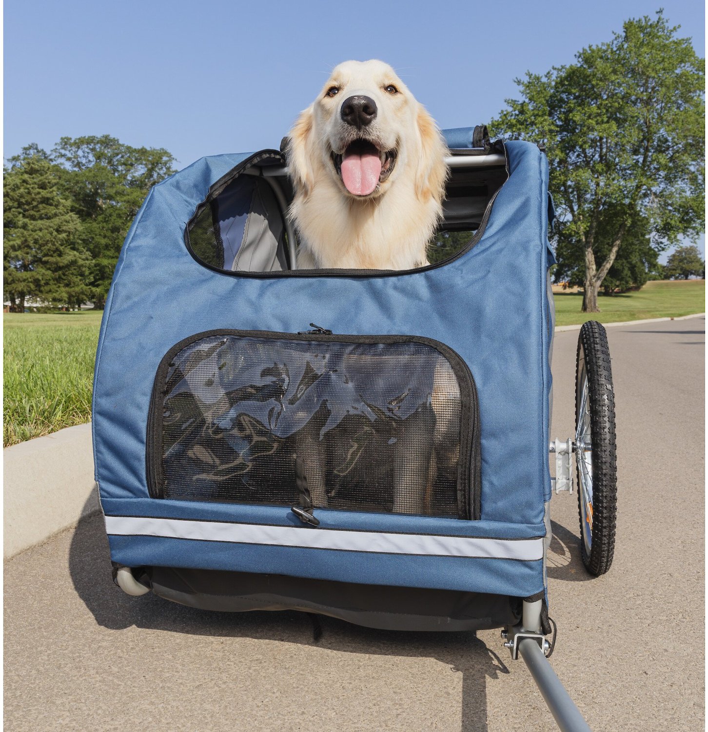 large dog bicycle carrier