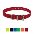 SportDOG Replacement Strap Dog Collar, Red, 1-in 