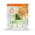 Pet Greens Self Grow Garden Pet Grass, 3-oz bag