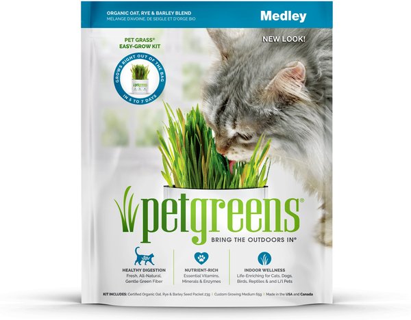 Botanical Interests 1 Count Seed Cat Grass Mix Organic