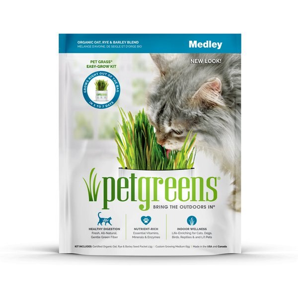 Seeds,Easy to grow  AM026 Sweet Oats for Cats 200 Catgrass
