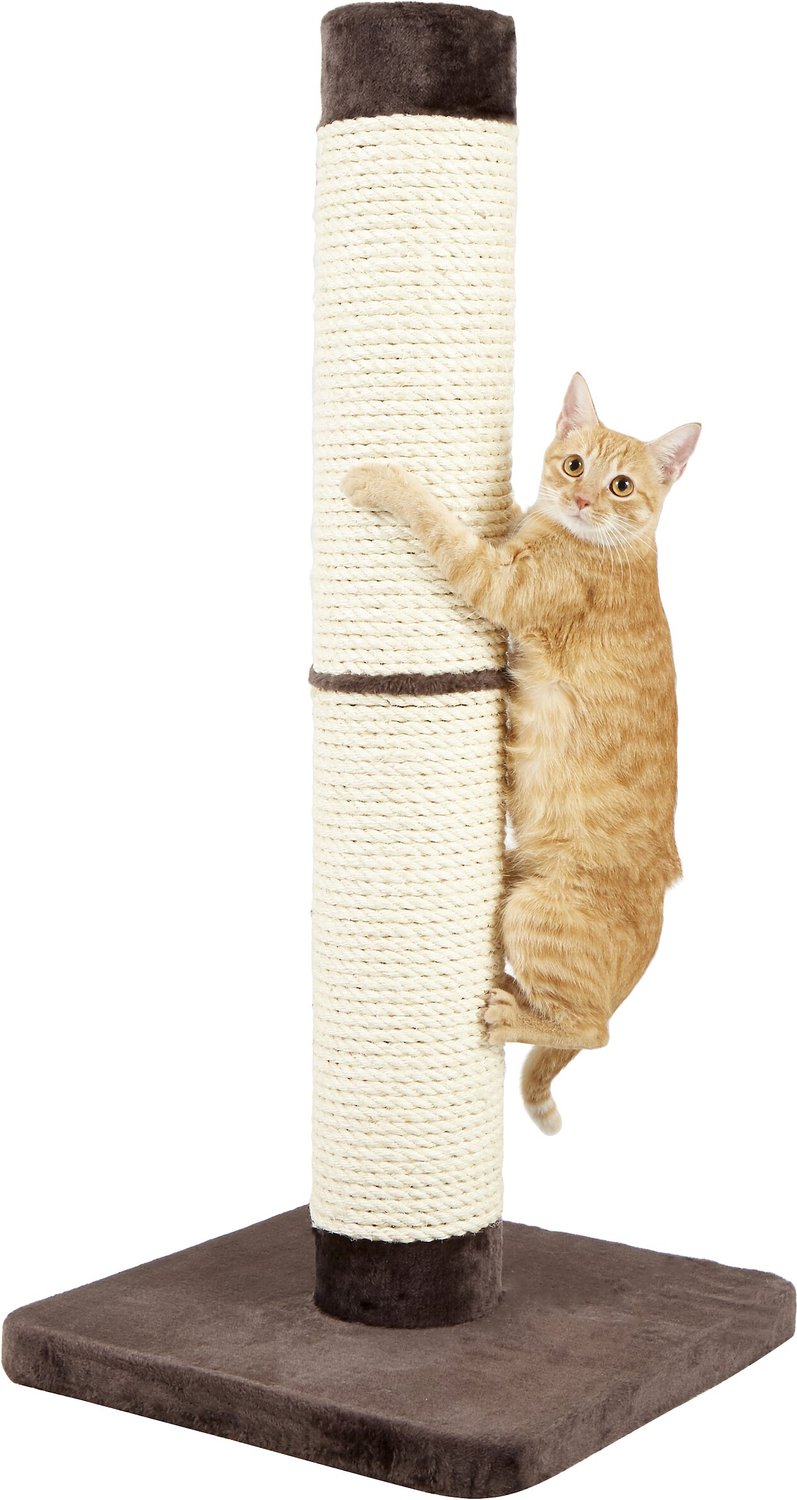 cat scratching post with seat