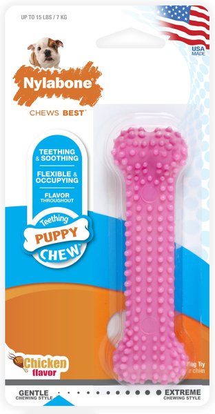 Nylabone Puppy Petite Dental Puppy Chew Toy, Pink slide 1 of 12