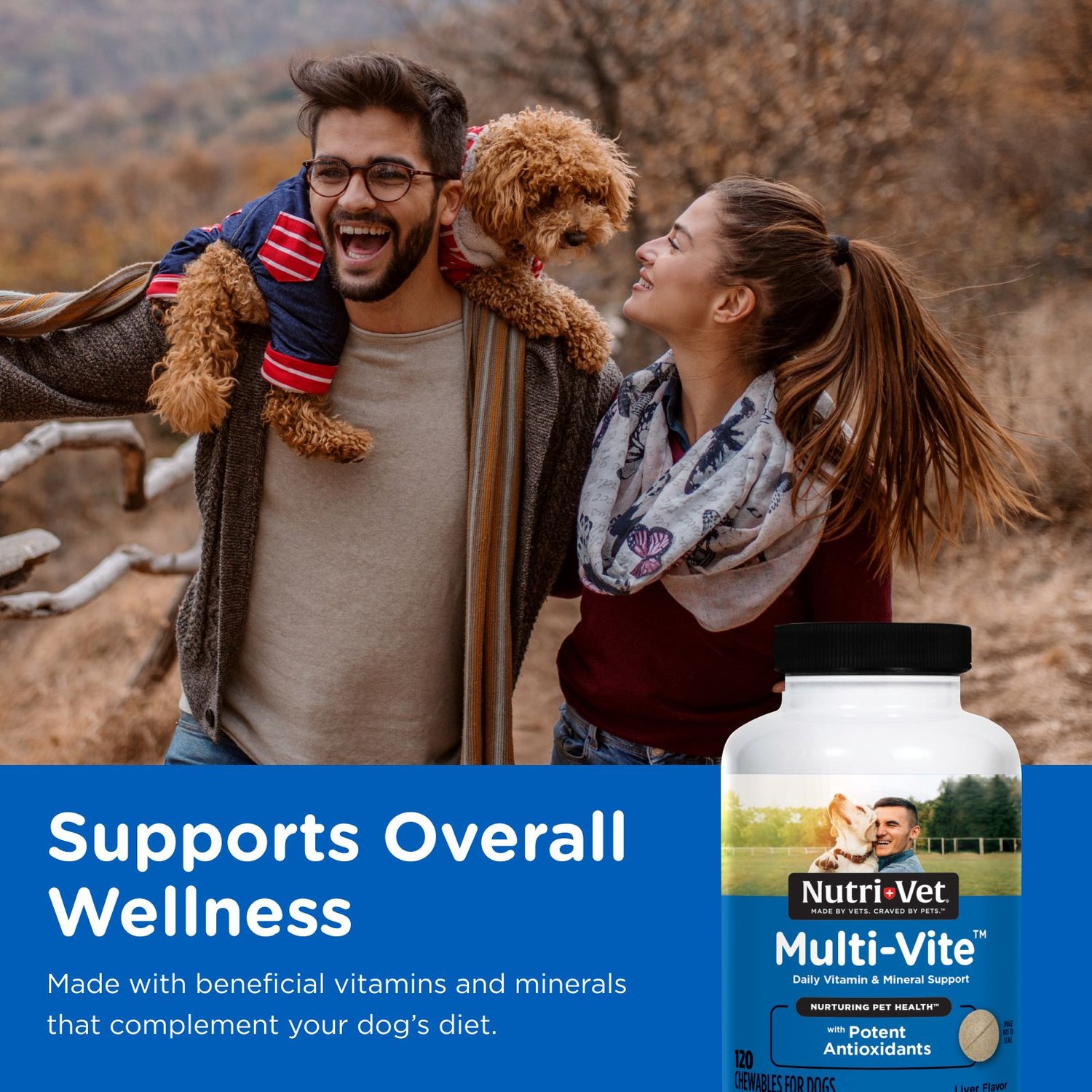 Nutri-Vet Multi-Vite Chewable Dog Supplement, 120 count - Chewy.com