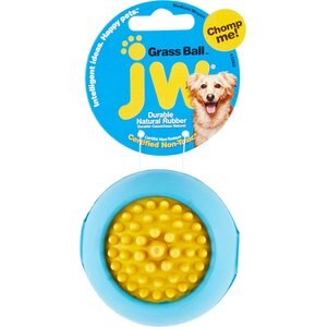 JW Pet Grass Ball Dog Toy, Color Varies, Medium