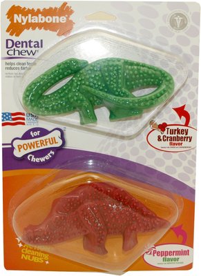 Nylabone Holiday DuraChew Dino Twin Pack Dog Chew Toy, slide 1 of 1