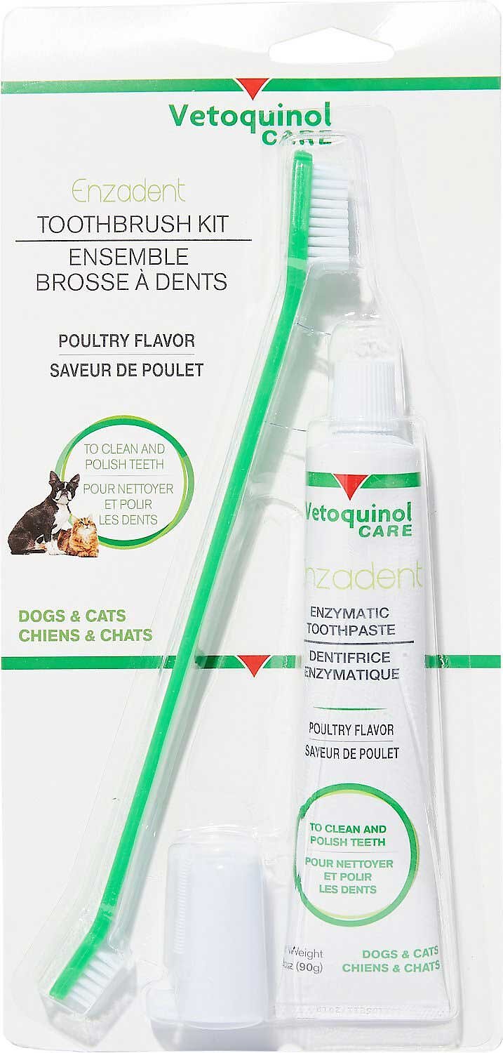 vetoquinol brush and feline toothpaste