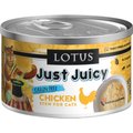 Lotus Just Juicy Chicken Stew Grain-Free Canned Cat Food, 2.5-oz, case of 24