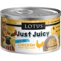 Lotus Just Juicy Chicken Stew Grain-Free Canned Cat Food, 5.3-oz, case of 24