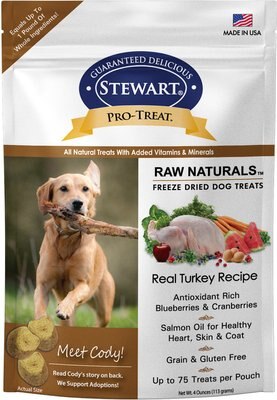 Stewart Pro-Treat Raw Naturals Real Turkey with Berries & Flaxseed Freeze-Dried Dog Treats, slide 1 of 1