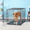 Carlson Pet Products Secure & Compact Single Door Collapsible Wire Dog Crate, Large