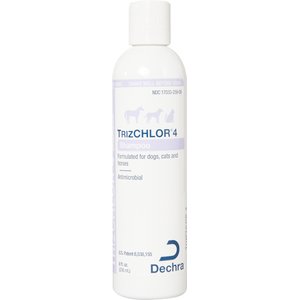 TrizCHLOR 4 Shampoo for Dogs, Cats & Horses, 8-oz bottle