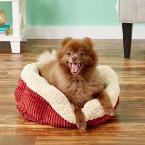 Best Budget Cozy Dog Bed