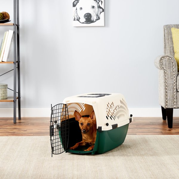 Petmate Ruff Maxx Dog & Cat Kennel, Off White/Green, 24-in slide 1 of 10